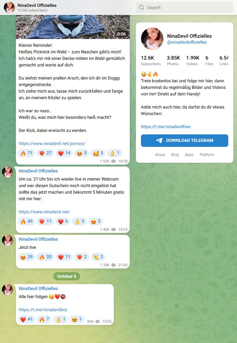 ninadeviloffizielles