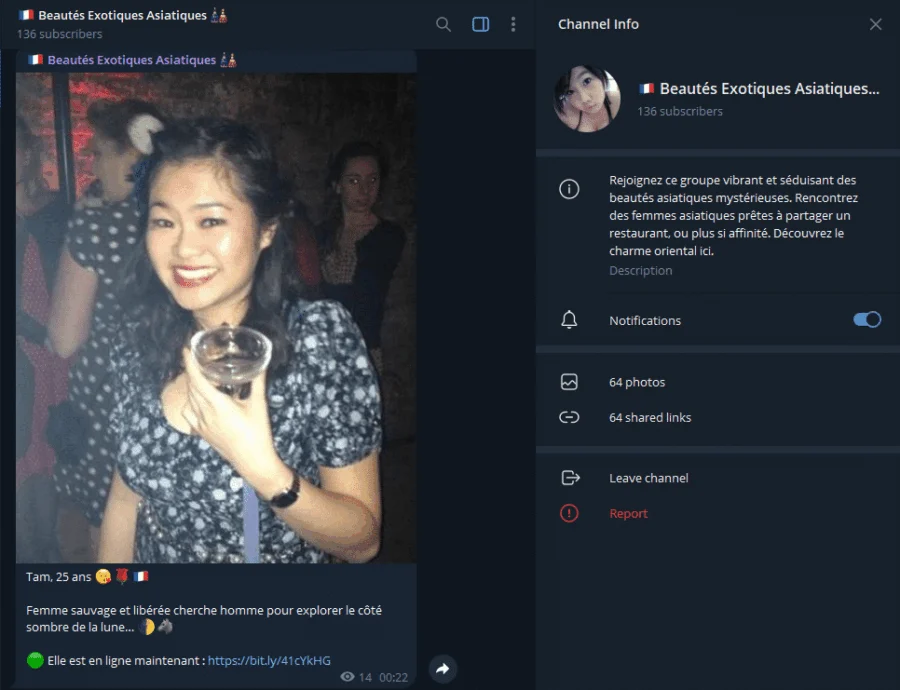 Aperçu du groupe Telegram Beautés Exotiques Asiatiques